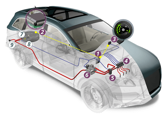 Lovato C-OBD II Premium LPG Car